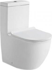 SantiLine SL-5012SM-BD Унитаз напольный с встроенным смесителем и функцией биде МОНОБЛОК (сиденье ми